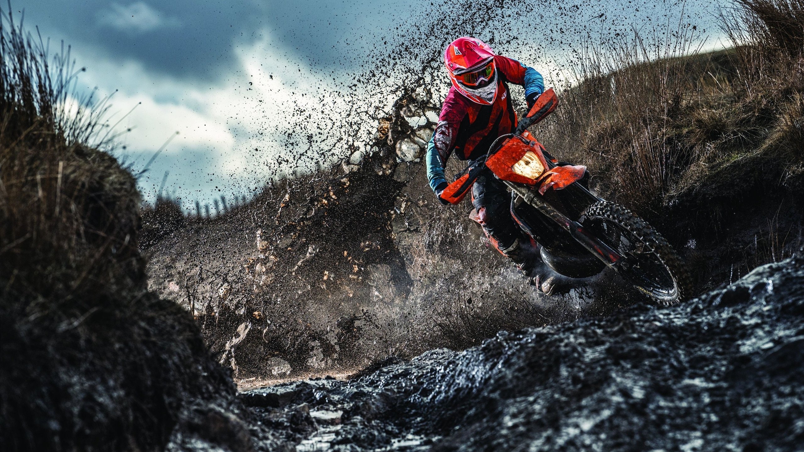 伦纳德完美风暴撕裂国王，尼克斯生死战绝境重生