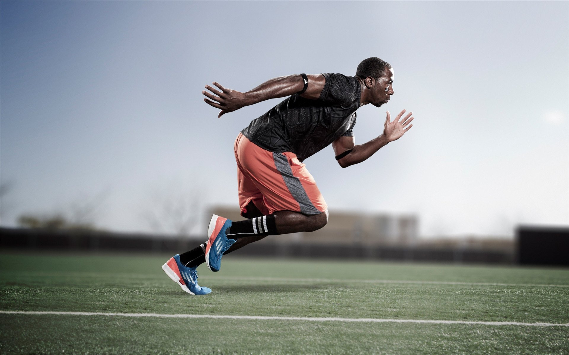 黄蜂振翅,击碎周期,一场关键战背后的秩序重构